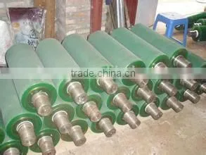 APL Immersion Roll photo-2
