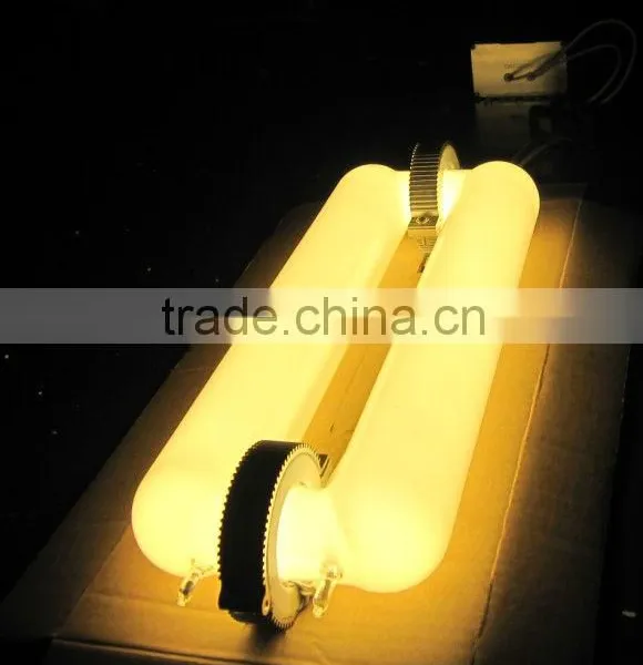 6500K 5000K 2700k Induction Light 200W Full Spectrum Led From Sun Light photo-5