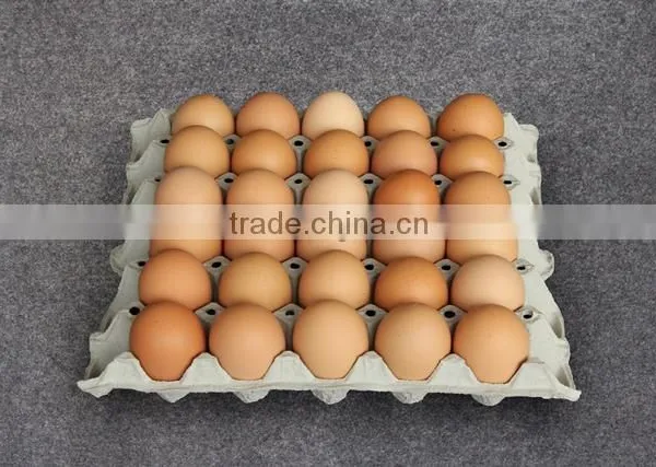 Paper Pulp Egg Tray UNI (With Hole)
