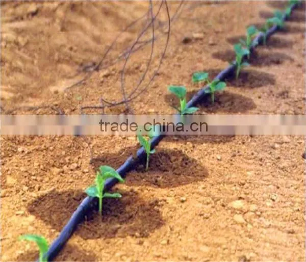 Drip Irrigation Line. 0.25mm Thickness +30CM SPACE. photo-5