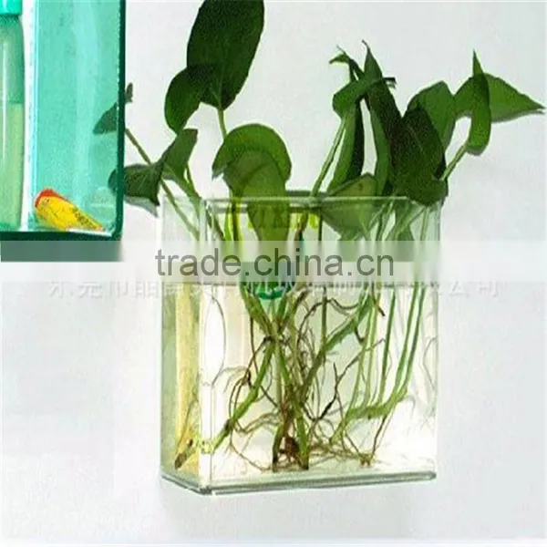 Fish Small Fish Tanks Aquarium photo-4