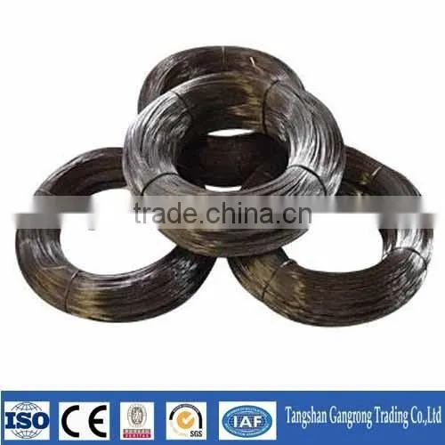 China Q195 Low Carbon Iron Wire for Cloth Hanger(not Annealed) photo-3