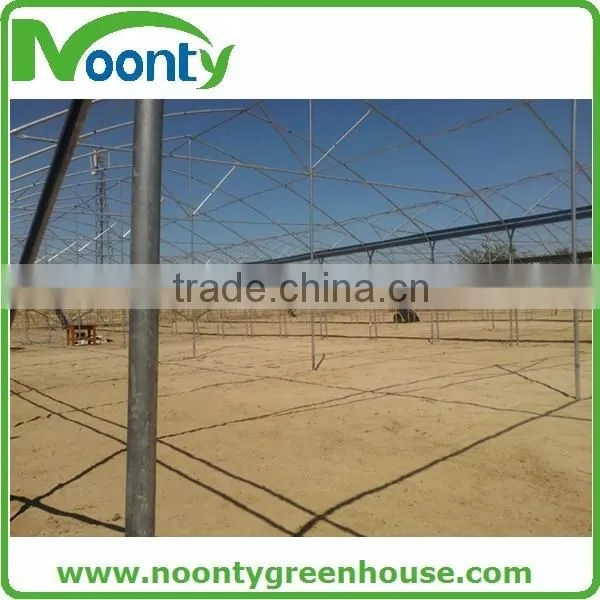 Multi Tunnel Greenhouse photo-3