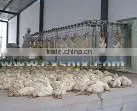 500 Chicken Slaughter Line Slaughterhouse/poultry Abattoir photo-2