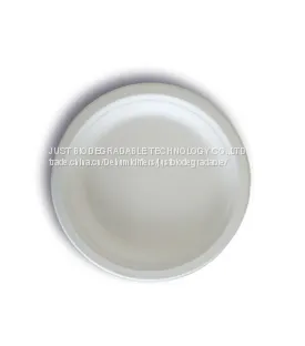 JUST Disposable Biodegradable Party Plate6''