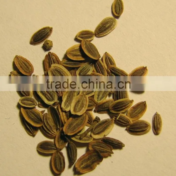Dill Seed photo-2