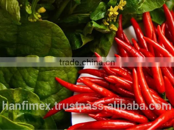 HACCP/HALAL/KOSHER/FDA RED DRY CHILLI photo-4