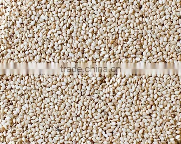 Freash Sesame Seeds
