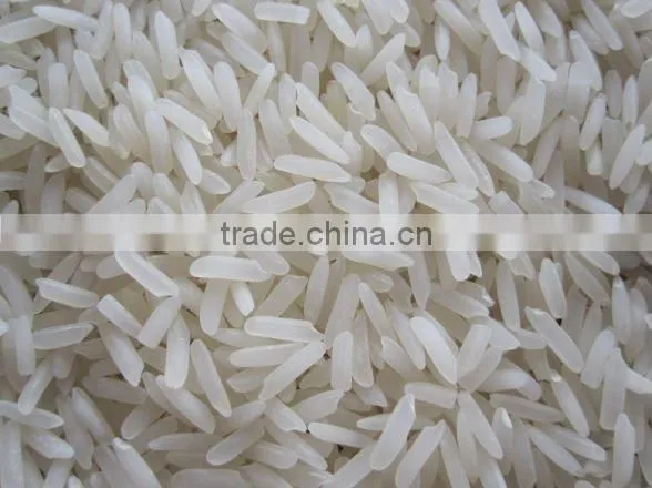 Rice photo-2