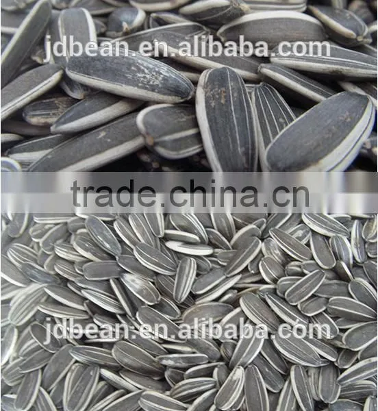 The Lowest Price Of Sunflower Seeds 5009 With High Quality photo-5