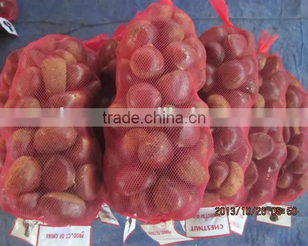 Fresh Sweet Chestnut for Sales photo-5