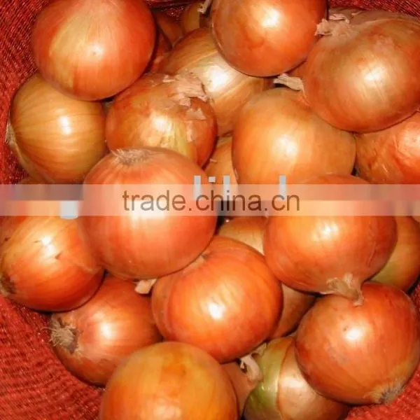New Red Onion Yellow Onion Wholesale Price photo-4
