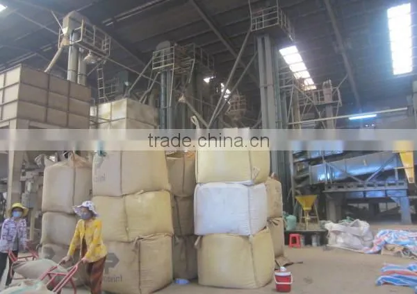 HIGH QUALITY ROBUSTA COFFEE BEANS photo-5