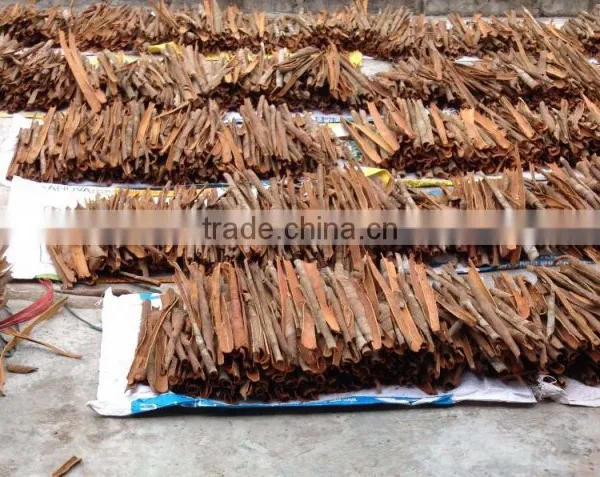 SPLIT CASSIA HIGH STANDARD photo-5