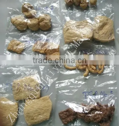 PHJ75S Textured Soybean Protein Making Machine,puffing Machine Line,PHJ65A photo-3