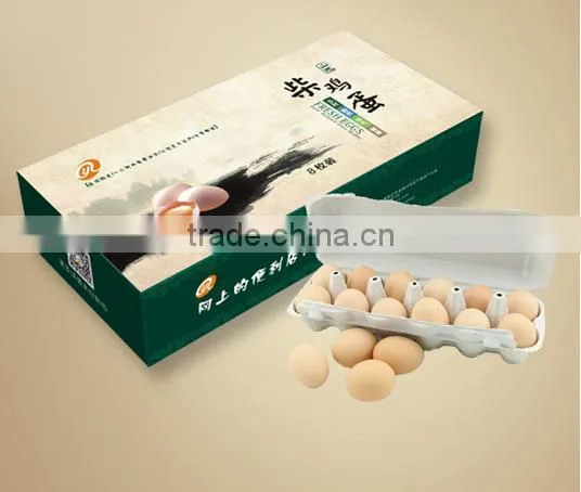 HT-D100 Automatic Egg Packing Machine From China photo-3