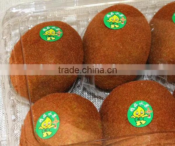 Plastic Blister Package Apple Tray/fruit Boxes photo-5