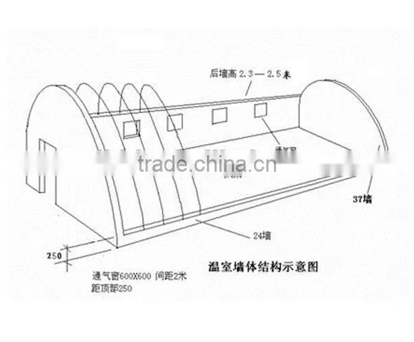 New Type Of Tunnel Greenhouse For Vegetables photo-5