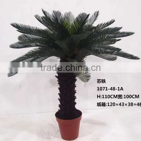 1071-32 Plastic Pot Cycads Tree photo-4