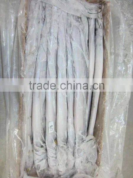 Frozen Belt Fish photo-2