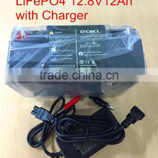 LiFePO4 Battery 12V12Ah With SLA Casing for Solar Light With Charger