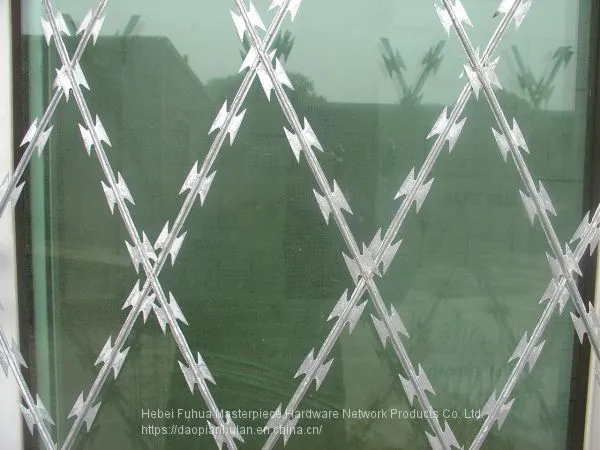 Blade Gill Net/Diameter 550mm BTO-28/Barbed Wire Welding Mesh photo-4