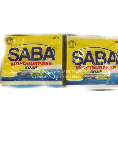 The Biggest OEM Detergent Powder Factory in China