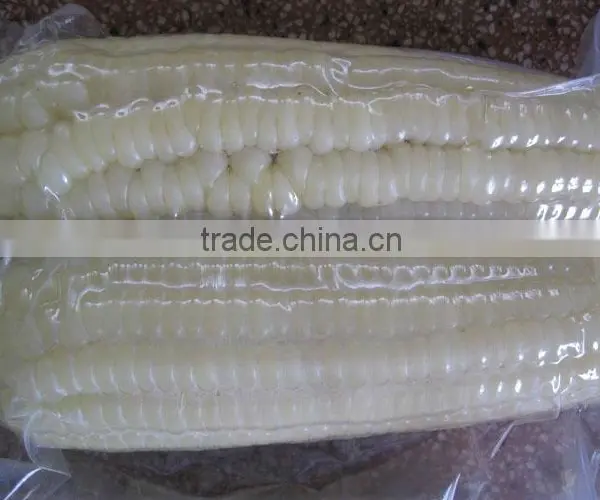 Best Quality Frozen White Sweet Corn From Vietnam photo-2