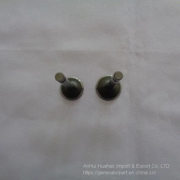 EF2600 Generator Intake and Exhaust Valve photo-5