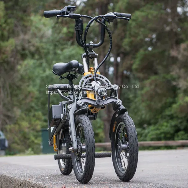 H-12-3R Perfect Foldable Electric Tricycle With 2 Seats For Adults 3 Wheels Electric Tricycle Manufacturers In China