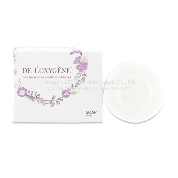 Disposable Hotel Guest Room Amenities Wholesale photo-5