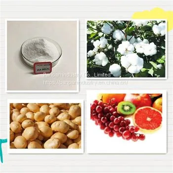 China Supplier Auxin Plant Growth Regulator Iaa 98%tc High Purity photo-2