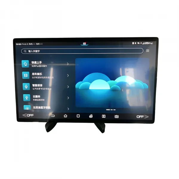 CSOT PAF601BA1-1 15.6