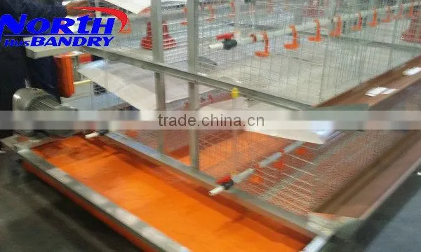 Poultry Equipment /poultry Auger Feeder/pultry Equipment Chicken Farm photo-5