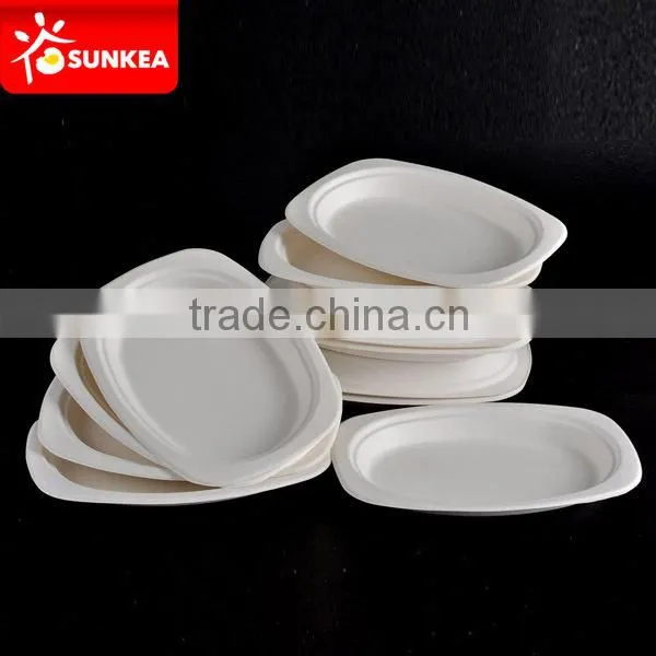 Biodegradable Disposable Bamboo Pulp Round Food Plate Quality Choice photo-4