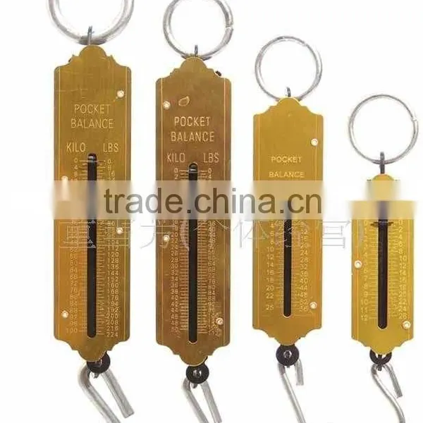 Crane Digital What is Spring Scale photo-4