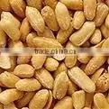 Fried and Salted Peanuts