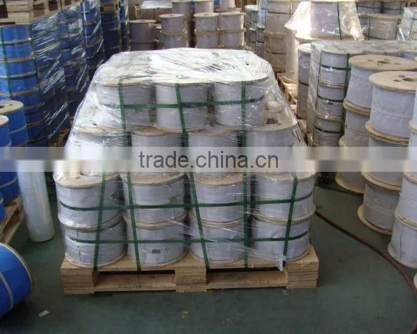 Stainless Steel Wire