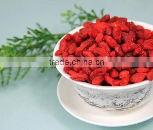 Goji/gojiberry photo-4