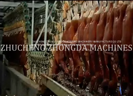 DUCK SLAUGHTER AND ABATTOIR MACHINE photo-2
