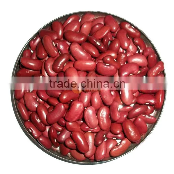 British Type Red Kidney Beans photo-3