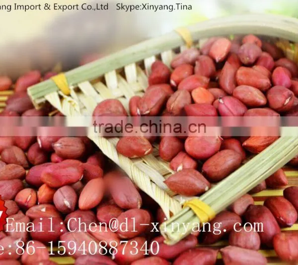 Wholesale China High Quality Wholesale Peanuts Prices photo-2