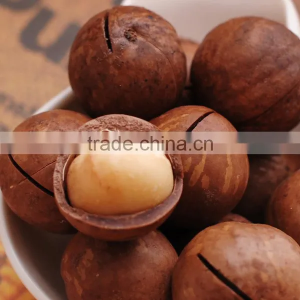 New Type Macadamia Nut Cracker Machine/macadamia Nut Opening Machine/macadamia Nut Tapping Machine photo-5