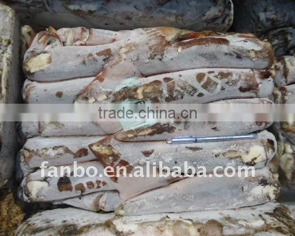 Frozen Argentina Squid