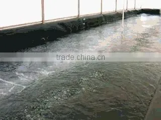 Branches of Agriculture/aeration Pipe/aerator Tube photo-5