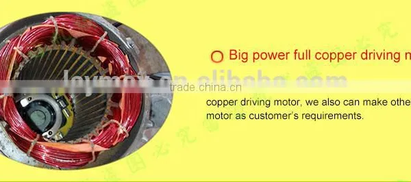 Chinese Screw Type Automatic Feeding Grinder photo-5