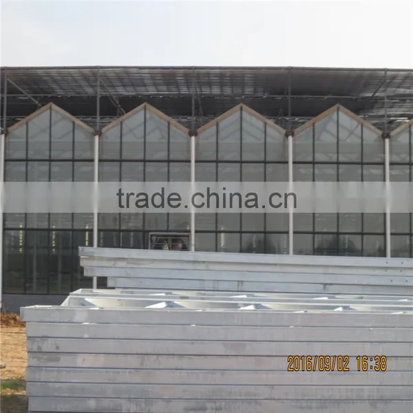 Anti Insect Net Greenhouse for Agriculture Use photo-4