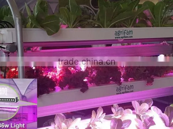 VANQLED LED Plant Grow Rigid Strip Lights With Plug Transformer Driver for Leafy Growth,Red Blue Grow Lamp Light photo-3