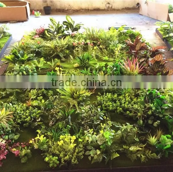 Home Garden Wedding Decoration 200cm*100cm Green Original Succulent With Moss Carpet Grass Wall E03 0501 photo-3