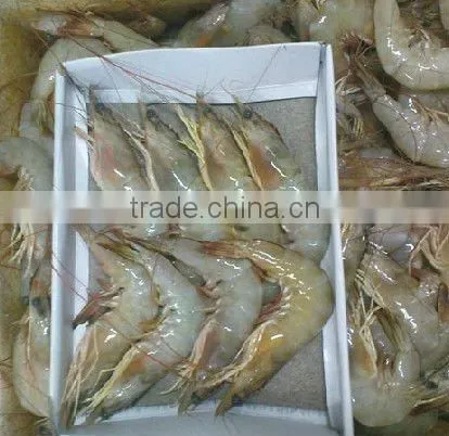 Vannamei Shrimp